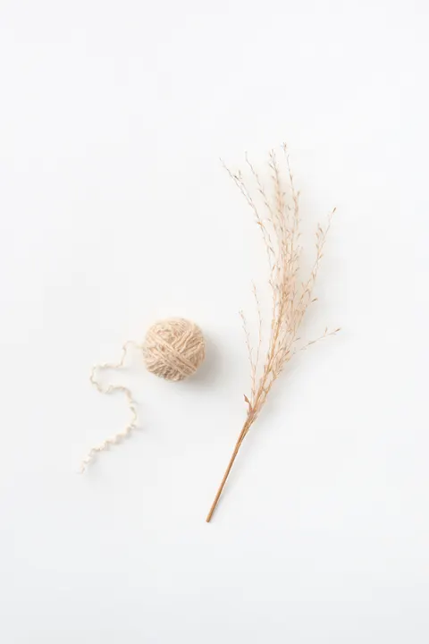 Cream Minimal Phone Wallpaper · pastel · 1440×2158