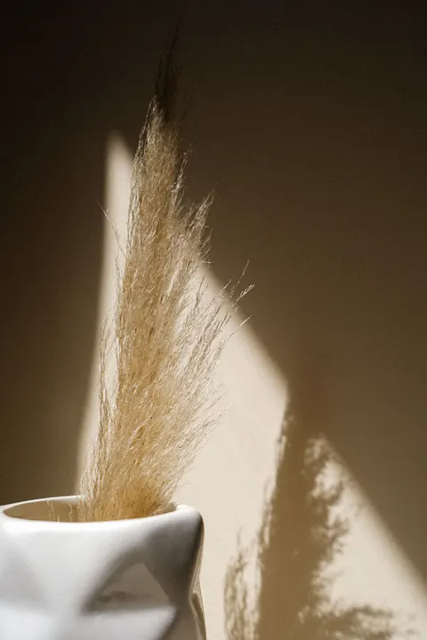 Cream Minimal Phone Wallpaper · pastel · 1440×2160