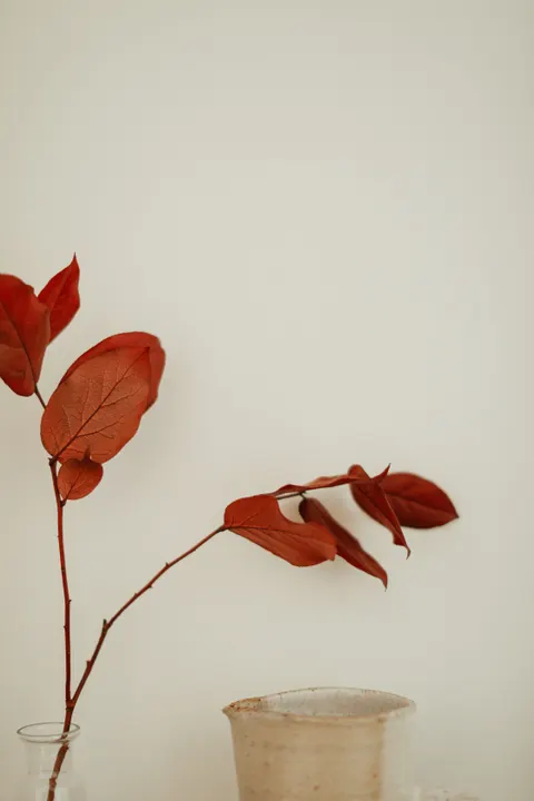 Cream Minimal Phone Wallpaper · pastel · 1440×2160