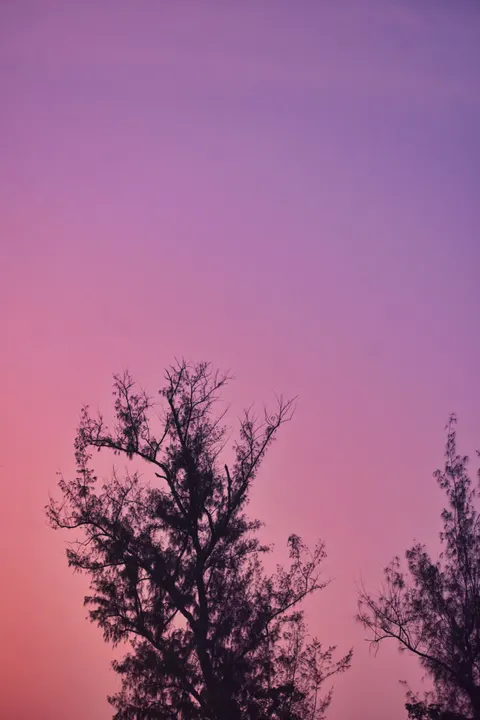 Pastel Sky Phone Wallpaper · pastel · 1440×2160