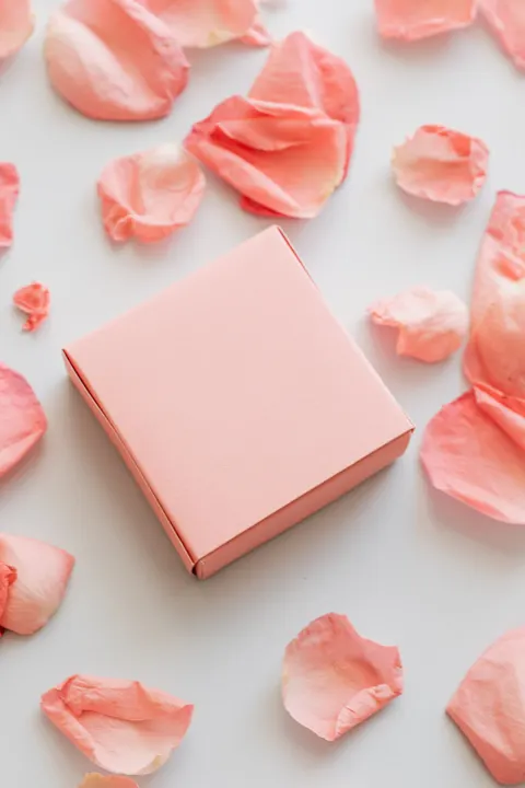 Peach Minimal Phone Wallpaper · pastel · 1440×2160