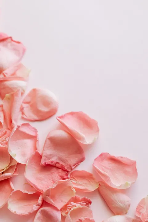Peach Minimal Phone Wallpaper · pastel · 1440×2160