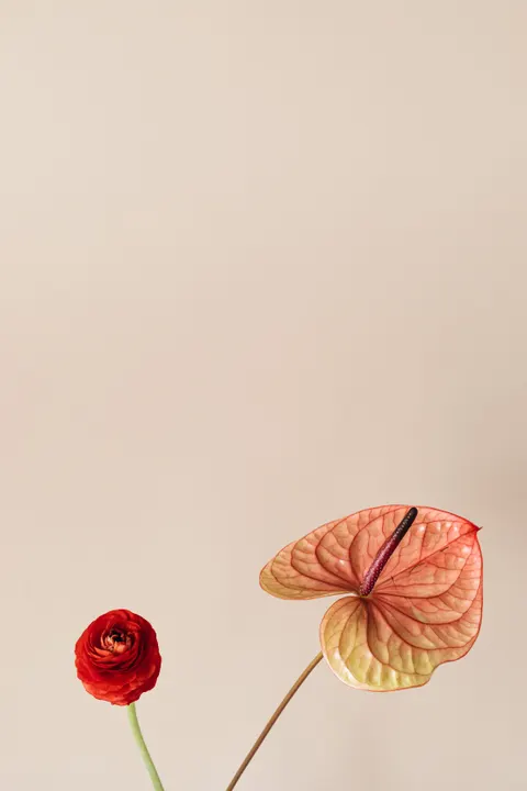 Peach Minimal Phone Wallpaper · pastel · 1440×2160