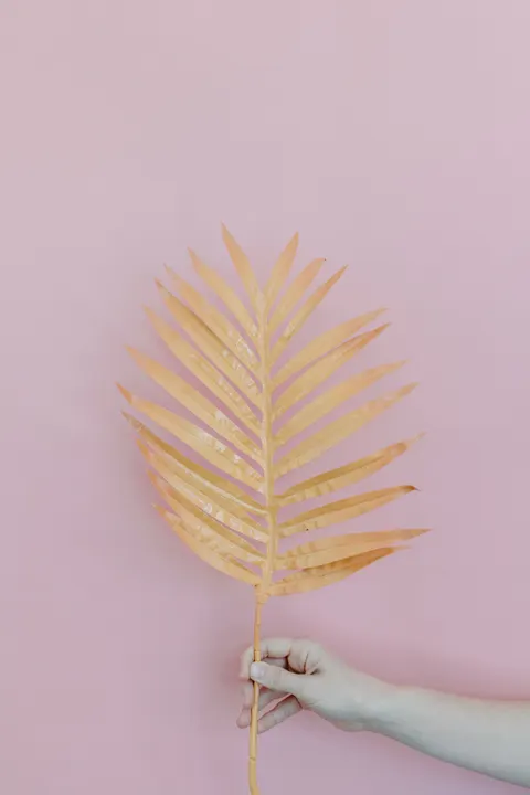 Peach Minimal Phone Wallpaper · pastel · 1440×2160
