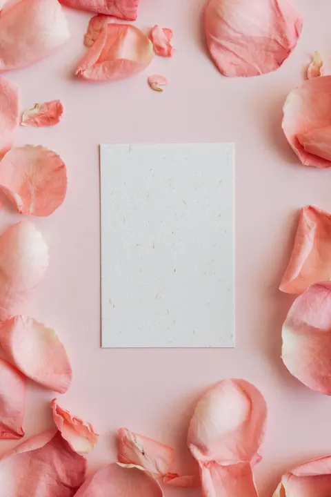 Peach Minimal Phone Wallpaper · pastel · 1440×2160