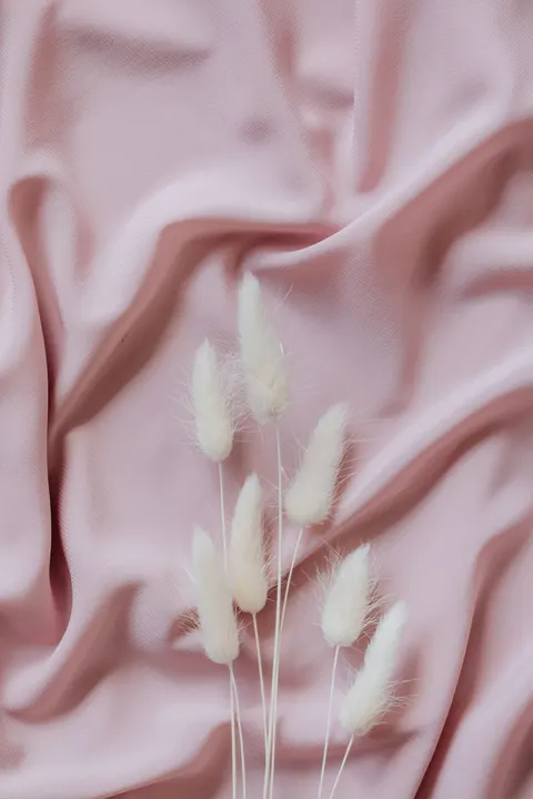 Peach Minimal Phone Wallpaper · pastel · 1440×2160