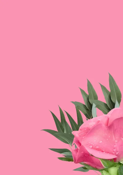 Peach Minimal Phone Wallpaper · pastel · 1440×2037