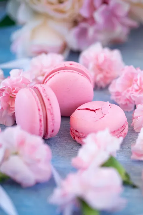 Macaron Phone Wallpaper · pastel · 1440×2160