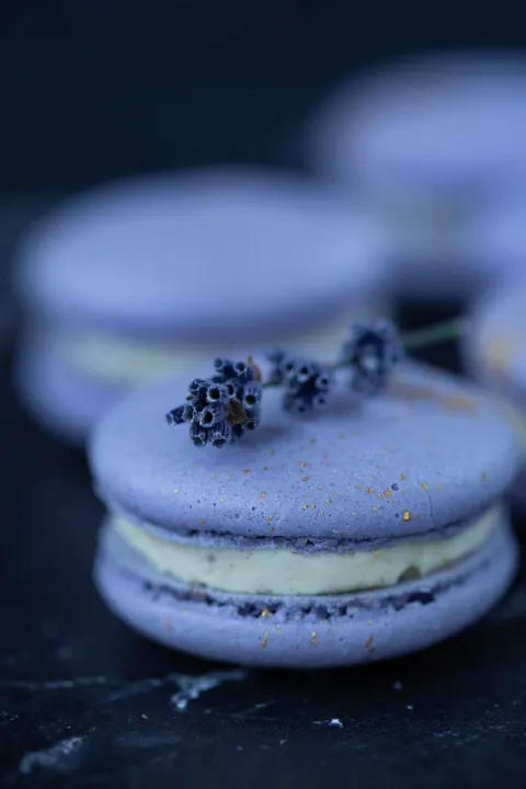 Macaron Phone Wallpaper · pastel · 1440×2160
