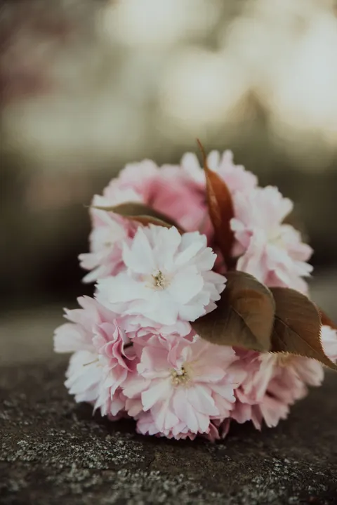 Blossom Pink Phone Wallpaper · pastel · 1440×2158