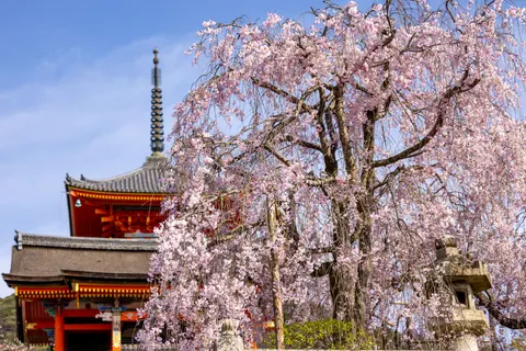 Japanese Pagoda 4K Wallpaper · architecture · 3840×2561
