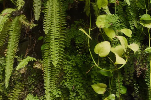 Papel de parede Cachoeira na floresta tropical 4K · nature · 3840×2560