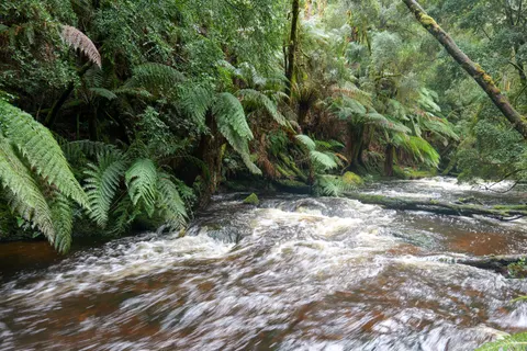 Fond d'écran Cascade de forêt tropicale 4K · nature · 3840×2560