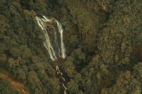 Rainforest Waterfall 4K Wallpaper · nature · 3840×2561