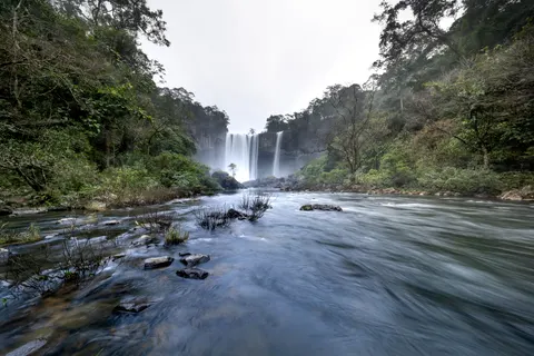 Rainforest Waterfall 4K Wallpaper · nature · 3840×2560