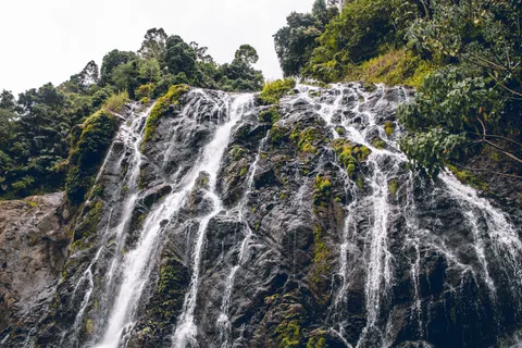 雨林瀑布 4K桌布 · nature · 3840×2560