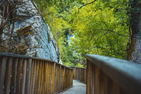 Обои Бамбуковый лес 4K · nature · 3840×2560