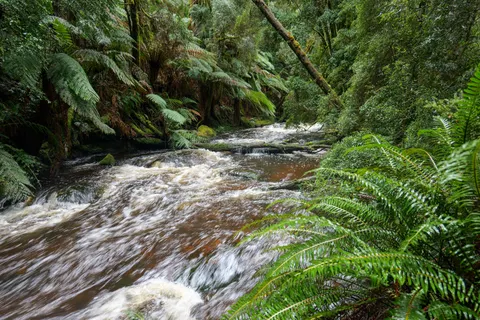 Waldbach 4K Hintergrundbild · nature · 3840×2560