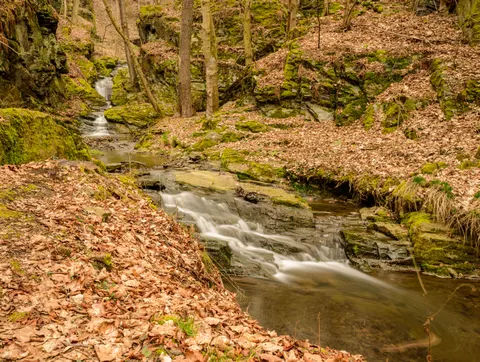 Обои Лесной ручей 4K · nature · 3840×2894