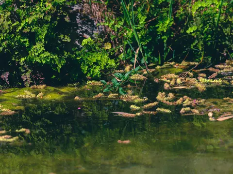 森林溪流 4K桌布 · nature · 3840×2880
