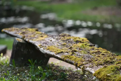 森林溪流 4K桌布 · nature · 3840×2561