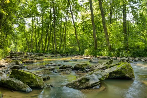 Sfondo Ruscello nel bosco 4K · nature · 3840×2560
