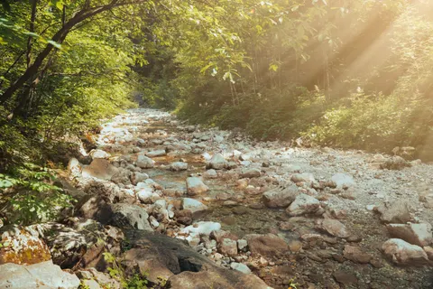 森林溪流 4K桌布 · nature · 3840×2560