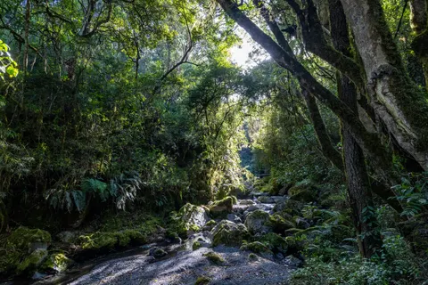 Hình nền Suối trong rừng 4K · nature · 3840×2561