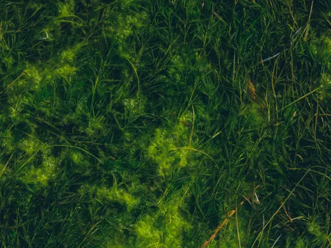 숲속 개울 4K 배경화면 · nature · 3840×2880
