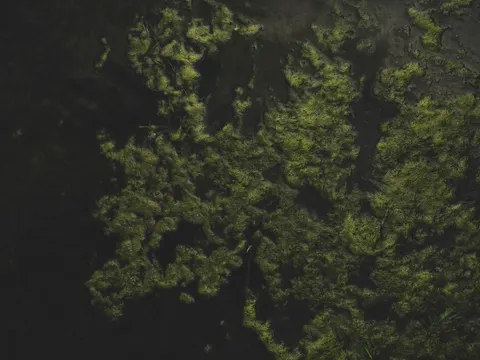 Forest Stream 4K Wallpaper · nature · 3840×2880