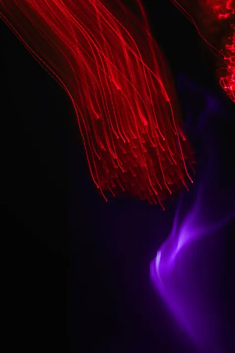 Neon Purple Phone Wallpaper · cyber · 1440×2160