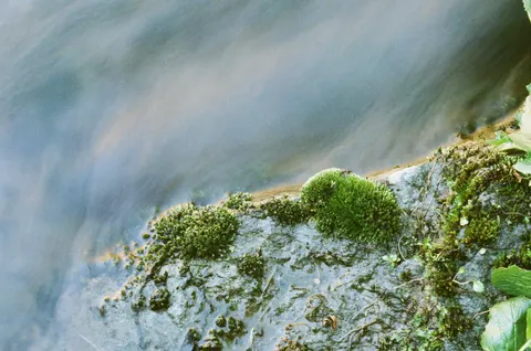 Forest Stream 4K Wallpaper · nature · 3840×2546