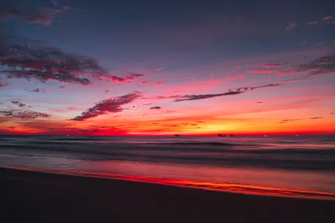 Fond d'écran Coucher de soleil sur plage de palmiers 4K · nature · 3840×2560