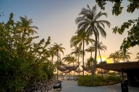 Fond d'écran Coucher de soleil sur plage de palmiers 4K · nature · 3840×2560