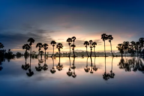 Palm Beach Sunset 4K Wallpaper · nature · 3840×2561
