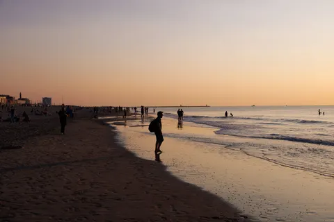 棕櫚海灘日落 4K桌布 · nature · 3840×2561