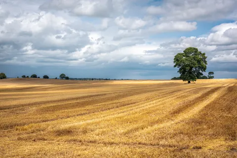 Wheat Field 4K Wallpaper · nature · 3840×2563