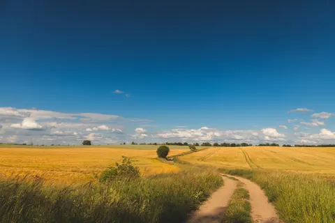 Wheat Field 4K Wallpaper · nature · 3840×2560
