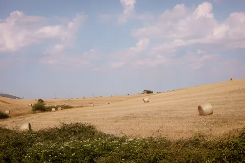 Wheat Field 4K Wallpaper · nature · 3840×2560