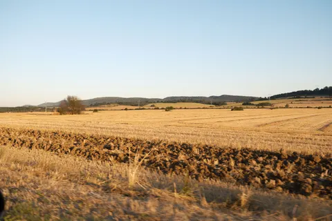 Wheat Field 4K Wallpaper · nature · 3840×2560