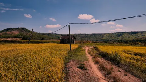 Wheat Field 4K Wallpaper · nature · 3840×2161