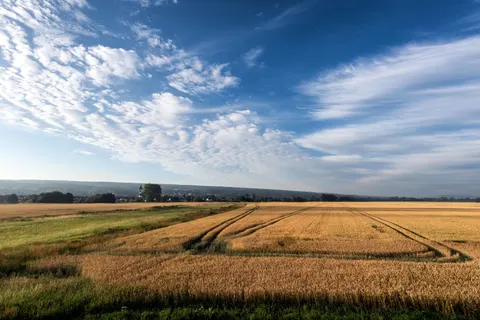 Wheat Field 4K Wallpaper · nature · 3840×2563