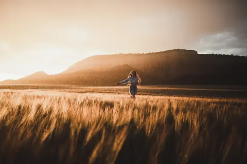 Wheat Field 4K Wallpaper · nature · 3840×2561
