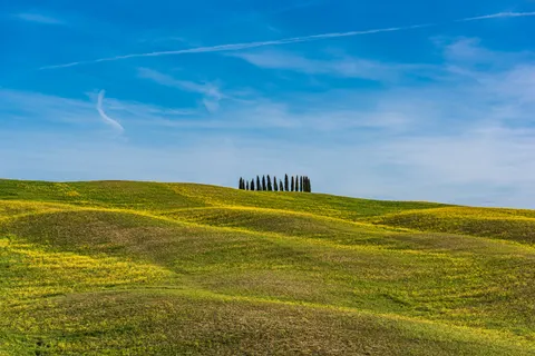 Vineyard Hills 4K Wallpaper · nature · 3840×2563