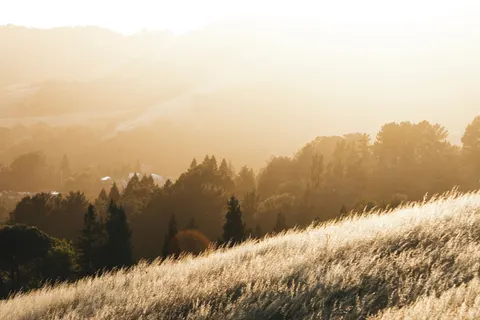 Vineyard Hills 4K Wallpaper · nature · 3840×2560