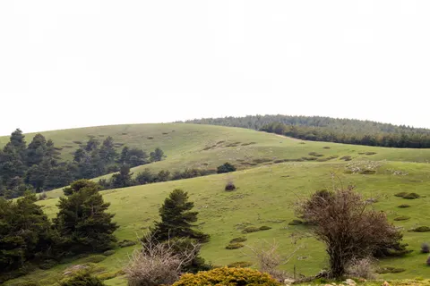 Vineyard Hills 4K Wallpaper · nature · 3840×2560