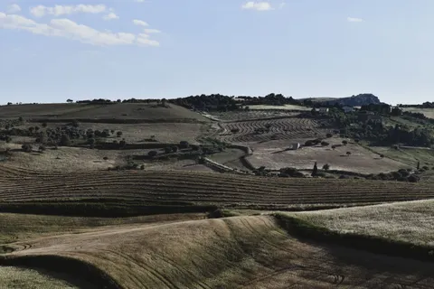 Vineyard Hills 4K Wallpaper · nature · 3840×2560