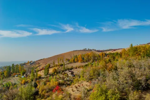 Vineyard Hills 4K Wallpaper · nature · 3840×2553