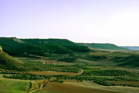 Vineyard Hills 4K Wallpaper · nature · 3840×2560