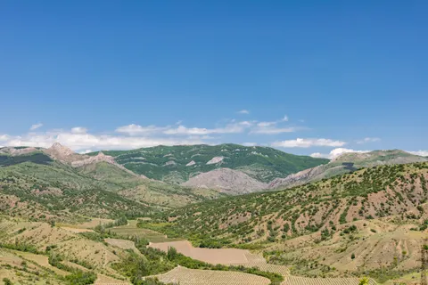 Vineyard Hills 4K Wallpaper · nature · 3840×2560